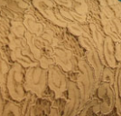 lace beige