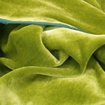 Tourmaline Green Silk Velvet
